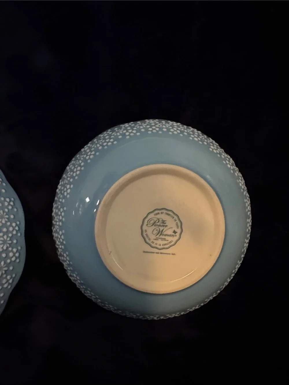 The Pioneer Woman 2 piece Bowl Set - Blue & Red Flower Motif